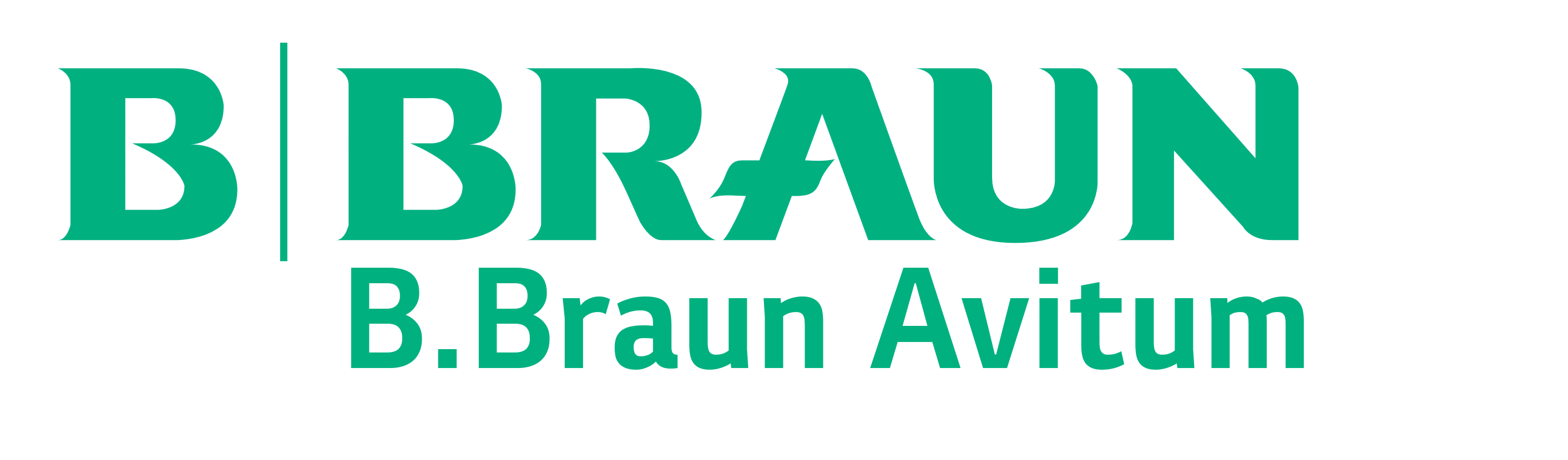 b braun avitum saxonia radeberg